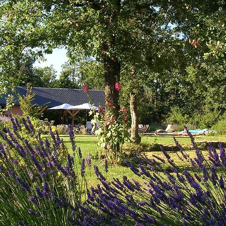 La Villa Des Pins Verrieres  Kültér fotó