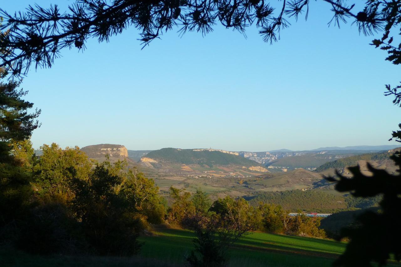 La Villa Des Pins Verrieres  Kültér fotó