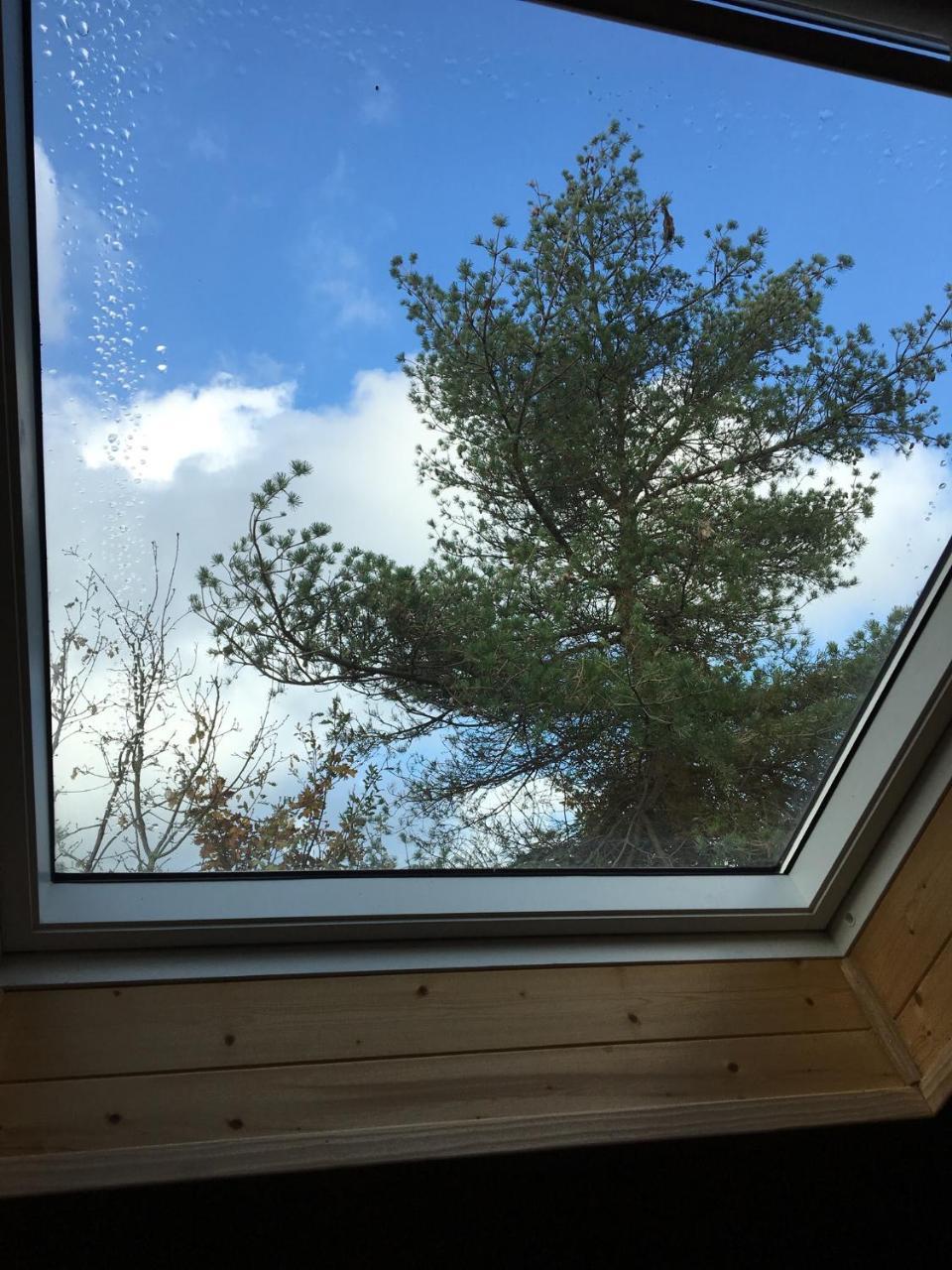 La Villa Des Pins Verrieres  Kültér fotó